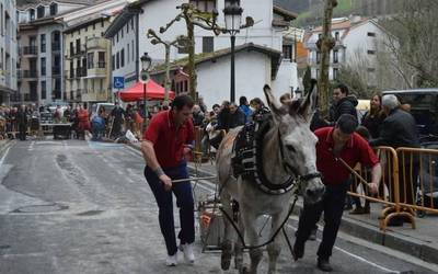 Asto-probetan animaliek sufritzen dutela frogatzen duen txostena argitaratu du Leioako elkarte batek