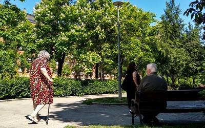 Gasteizek 7.925 zuhaitz ikuskatuko ditu, banan-banan