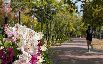 Bi egunez, eguzkitsu