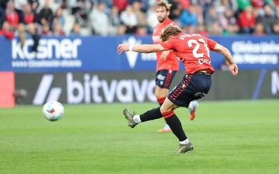 Berdinketa mingarria