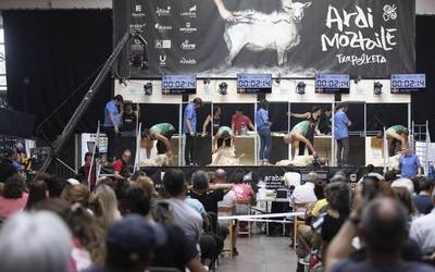 [ARGAZKI GALERIA]: Abadiñon jokatutako ardi moztaile txapelketa iruditan