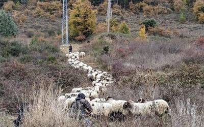 Urriaren 26an, igandea, boluntariotza-jardunaldia egingo dute Ezkaba mendia garbitzeko