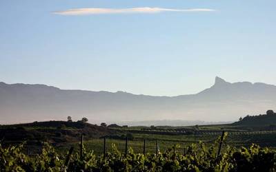 Epelago, eta arras garbia