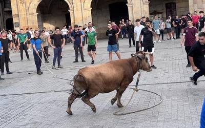 San Migel bixamoneko sokamuturreko argazkiak