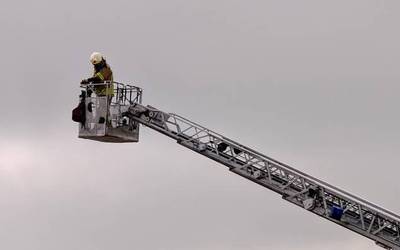 Suhiltzaileen kontratazioan "irtenbide ez hain txarra" babestu du Gurtubaik