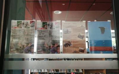 Saharako liburutegi ibiltarien erakusketa, Lakuntzan