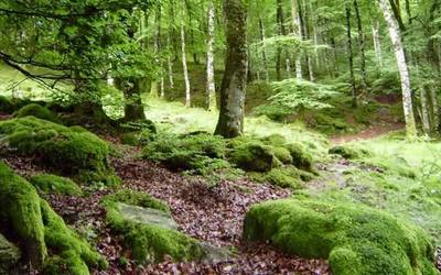 Gure Txokoak Ezagutzen egitasmoaren hurrengo irteeran Nafarroara joango dira