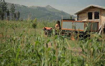 Zabalik dago, berriro ere, Zumaiako landa eremuko emakumeen egoera aztertzeko beka eskatzeko epea