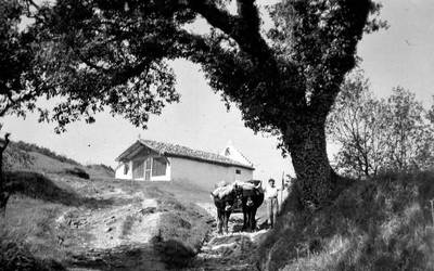 Haur bat idi bikote batekin, Elkanon