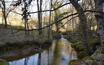 Asteburuan Ihuda ibaian izandako isuria ikertzen ari da URA