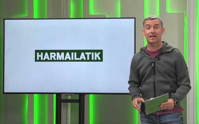 Harmailatik (2025-09-29)