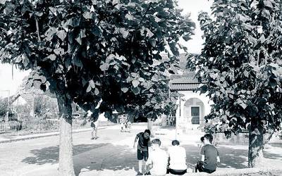 Sakanako lexia konposatuak (XIV)