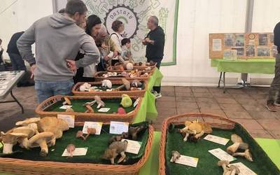 Dastatu Urria 2025: perretxikoak, gastronomia, musika eta artisau garagardoa Gorlizen