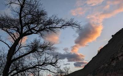 Arratsaldetik aurrera, grisago