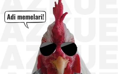 Abian dago gazteei zuzendutako Memeka euskarazko meme lehiaketa