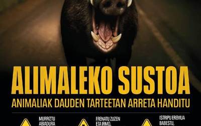 ‘Alimaleko sustoa’ kanpaina abian jarri dute faunarekiko istripuak murrizteko