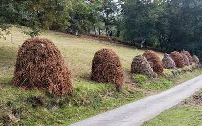 'Metaka Auzolanez' jardunaldia eginen dute ortziralean eta larunbatean Ibardinen