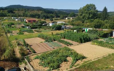 Pulla-Azkarreta planak 600 alegaziotik gora jaso ditu