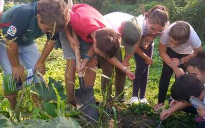 Ekolurraren 'Lurzorua' hezkuntza programa, martxan
