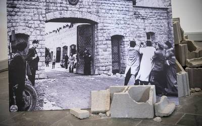 253 izen galdu ez daitezen