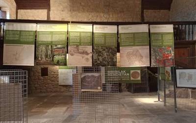 Korta-basoei buruz ikasteko aukera, asteburuetan, Garain