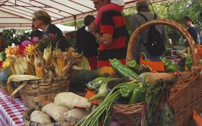 Ekitaldien artean Bortzirietako sagardo lehiaketa eginen da 27. aldiz