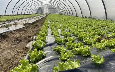 Haztegiak beste deialdi bat egin du ekoizpen ekologikoan sartzeko