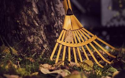 Azkoitiko Udalak hainbat langile hartzeko deialdia zabaldu du