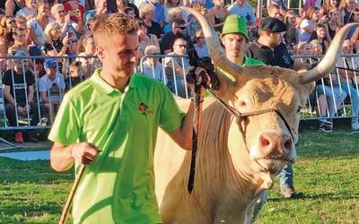 «Lehenbiziko sektorearen segida gizartearen esku dago»