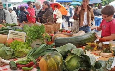 Bortziriko 15 gazta Lurraren eguneko lehiaketan