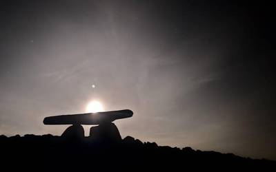 Zeru gardenak, gaurkoz