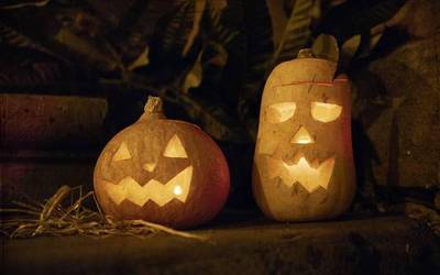 Gau Beltzaren gida txikia