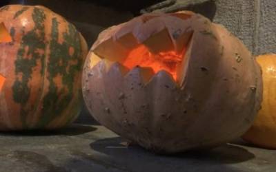 Albistegia: 2025-10-31