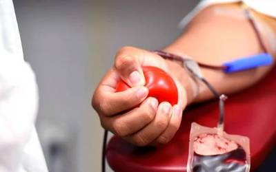 Odola emateko aukera izango da etzi, Elkargunean