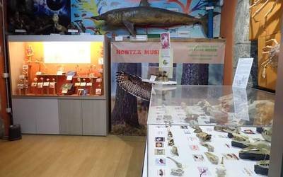 Garaiko nagusien irteera Mañariko Hontza museora