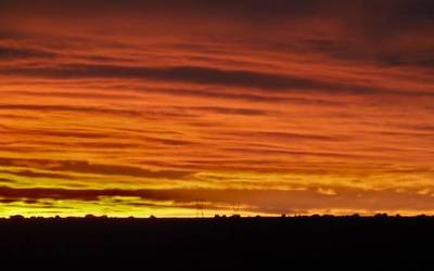 Igandera arte itxoin beharko