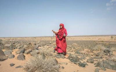 Saharako emakumeei aurpegia jartzeko ahalegina