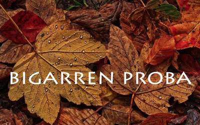 2025eko Orbel Jokoak: bigarren asteko galderak