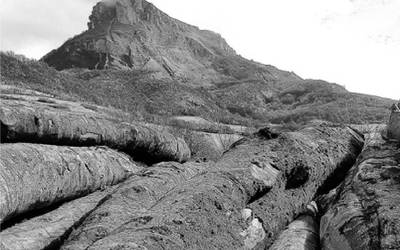 Sakanako euskal lexia konposatuak (XV)