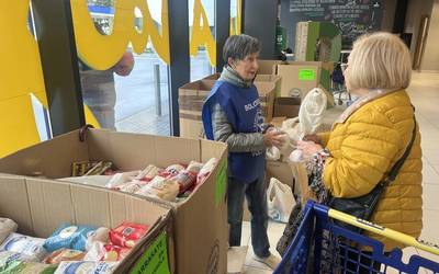 Elikagai Bilketa Handia egiten dihardute