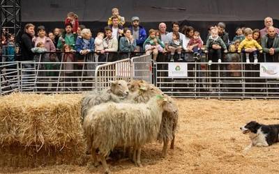 25000 lagun Lurramaren 20. ekitaldian