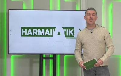 Harmailatik (2025-11-17)