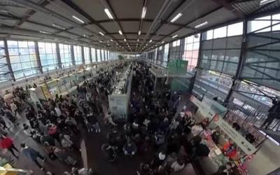 Albistegia: 2025-11-20