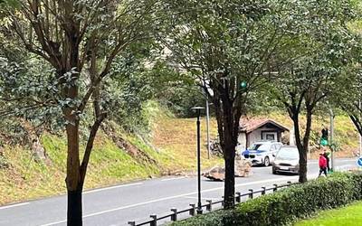 Harkaitz zati handia erori da errepidera Anibarko Portuan