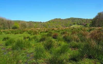 Txilardi hezeak berreskuratzeko intentzioarekin igandean Belaten egitekoa zen boluntarioen saioa gibelatu dute