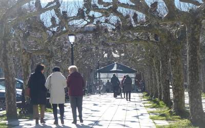 Errentan, muturren artean, %23,38ko aldea dago