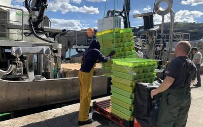 Antxoaren kosterarekin gustura, berdelarekin dute kezka arrantzaleek