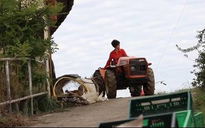 Baserritar Bilgunea nekazal sindikatua aurkeztuko dute Azpeitian bihar