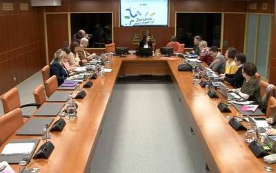 Bizipoza Elkartea Eusko Legebiltzarreko Hezkuntza Batzordean izan da proiektuaren berri ematen