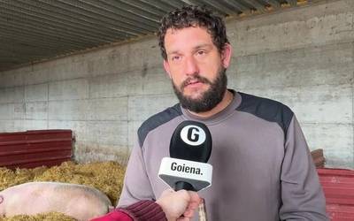 Elgetan hazitako 'Poxpolin' txerria izango da San Tomas azokako protagonista aurten